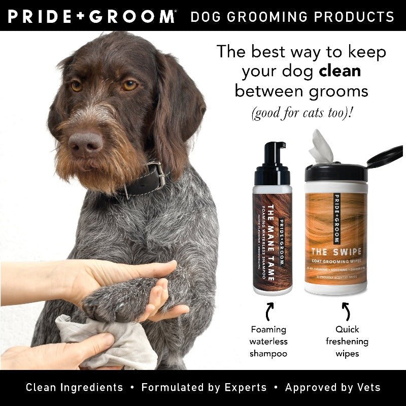 THE MANE TAME Waterless Dog & Cat Shampoo — No - Rinse Pet Grooming and Quick Cleaning - Che Cose Belle