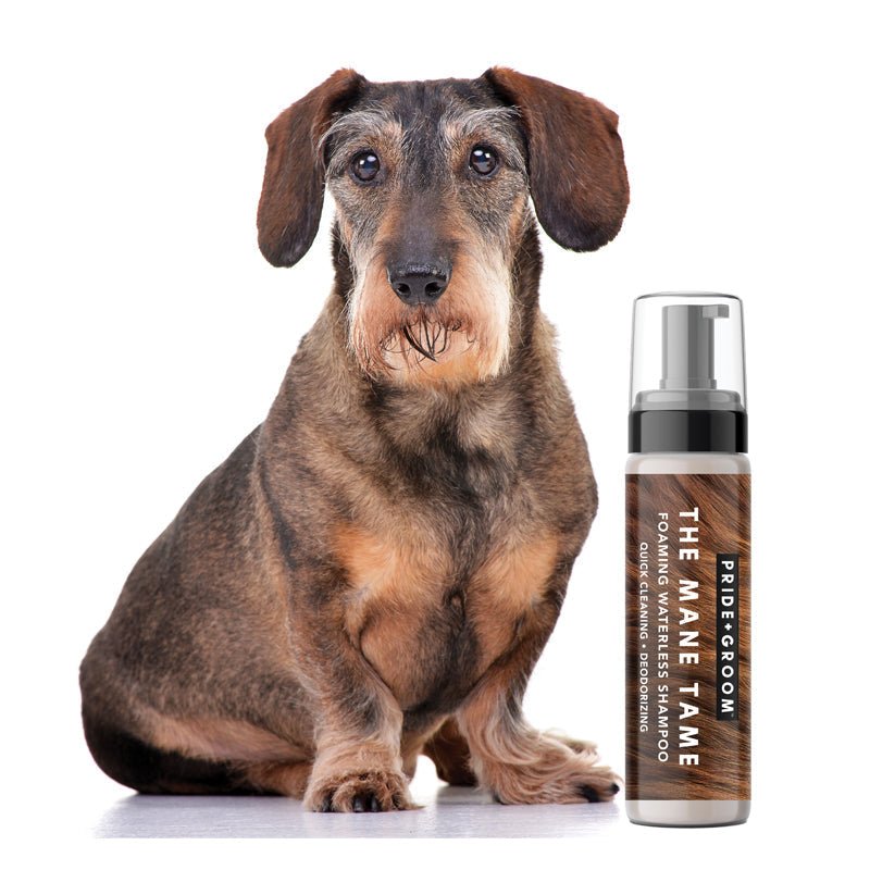 THE MANE TAME Waterless Dog & Cat Shampoo — No - Rinse Pet Grooming and Quick Cleaning - Che Cose Belle