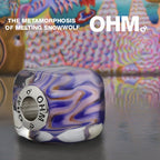 The Metamorphosis Of Melting Snowwolf - Che Cose Belle