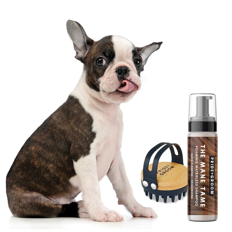 THE MID GROOM KIT — Waterless Foaming Dog & Cat Shampoo with Silicone Dog Grooming Brush with Hand Strap - Che Cose Belle