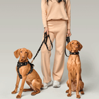 The NoMad Adjustable Luxe Harness - Rockstar - Che Cose Belle