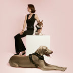 The NoMad Adjustable Luxe Harness - Rockstar - Che Cose Belle