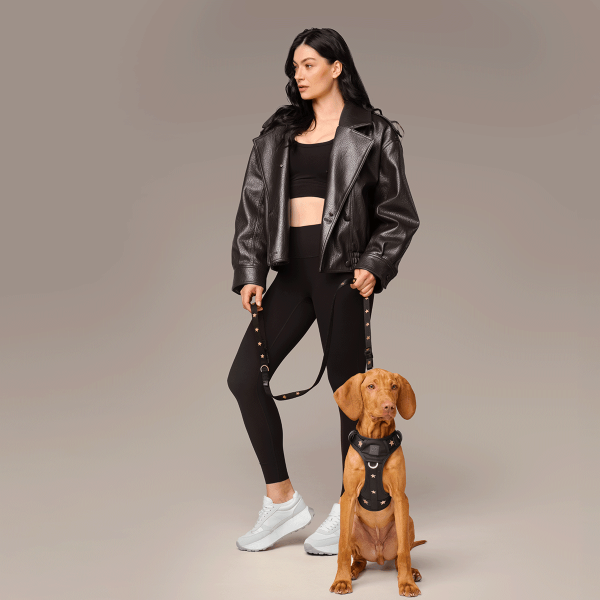 The NoMad Adjustable Luxe Harness - Rockstar - Che Cose Belle