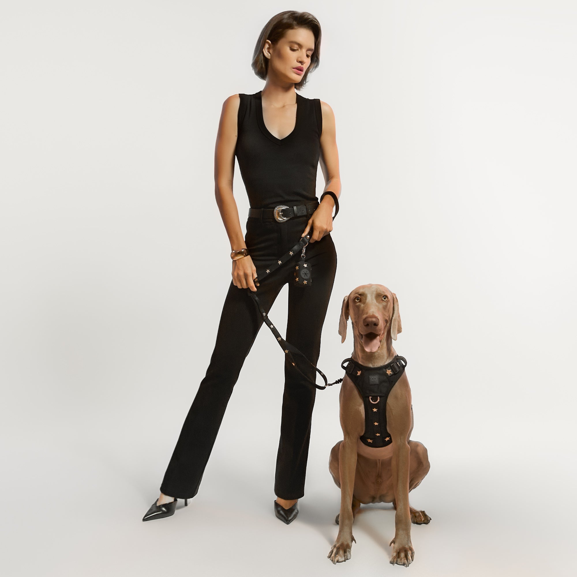 The NoMad Adjustable Luxe Harness - Rockstar - Che Cose Belle