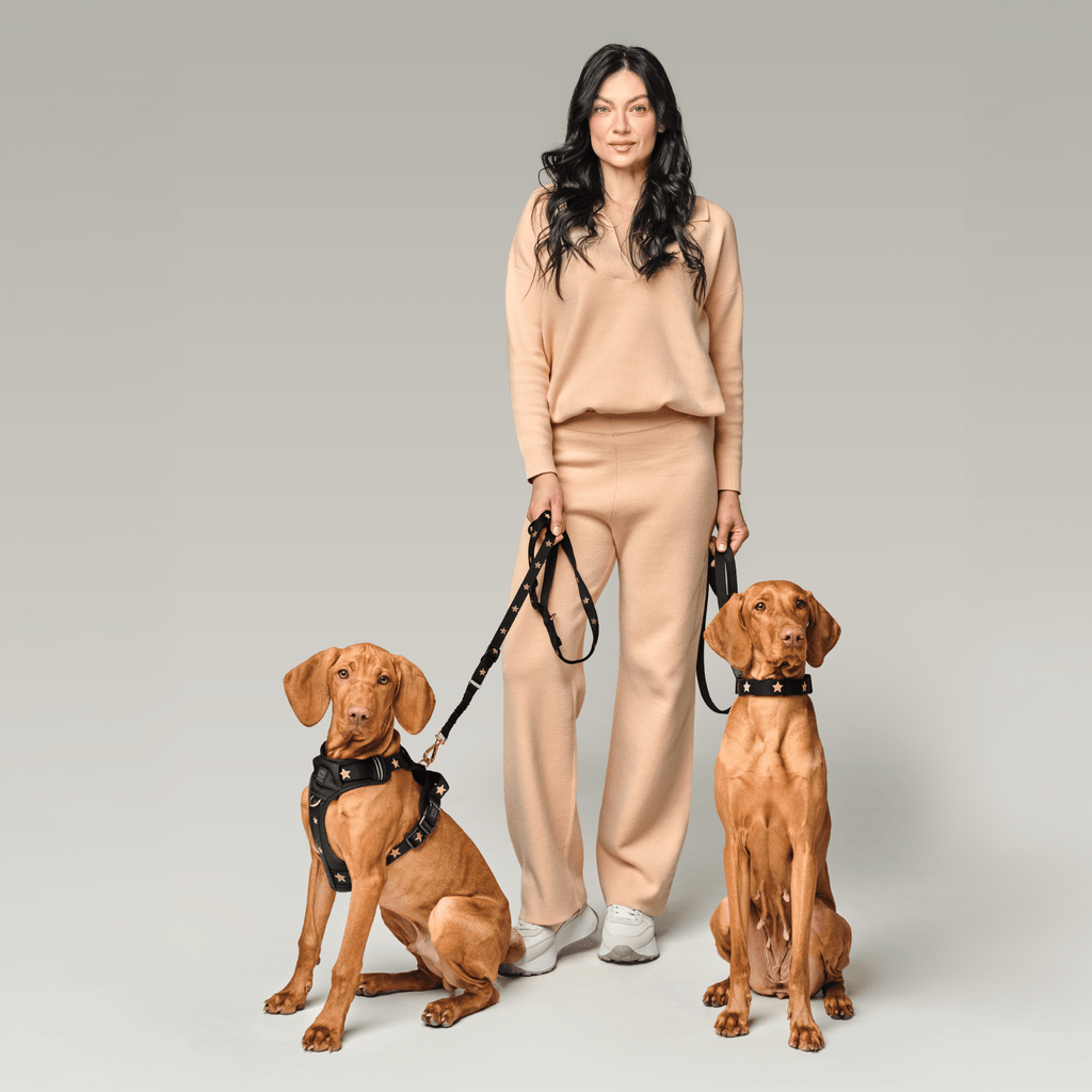 The NoMad Adjustable Luxe Harness - Rockstar - Che Cose Belle