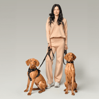 The NoMad Adjustable Luxe Harness - Rockstar - Che Cose Belle