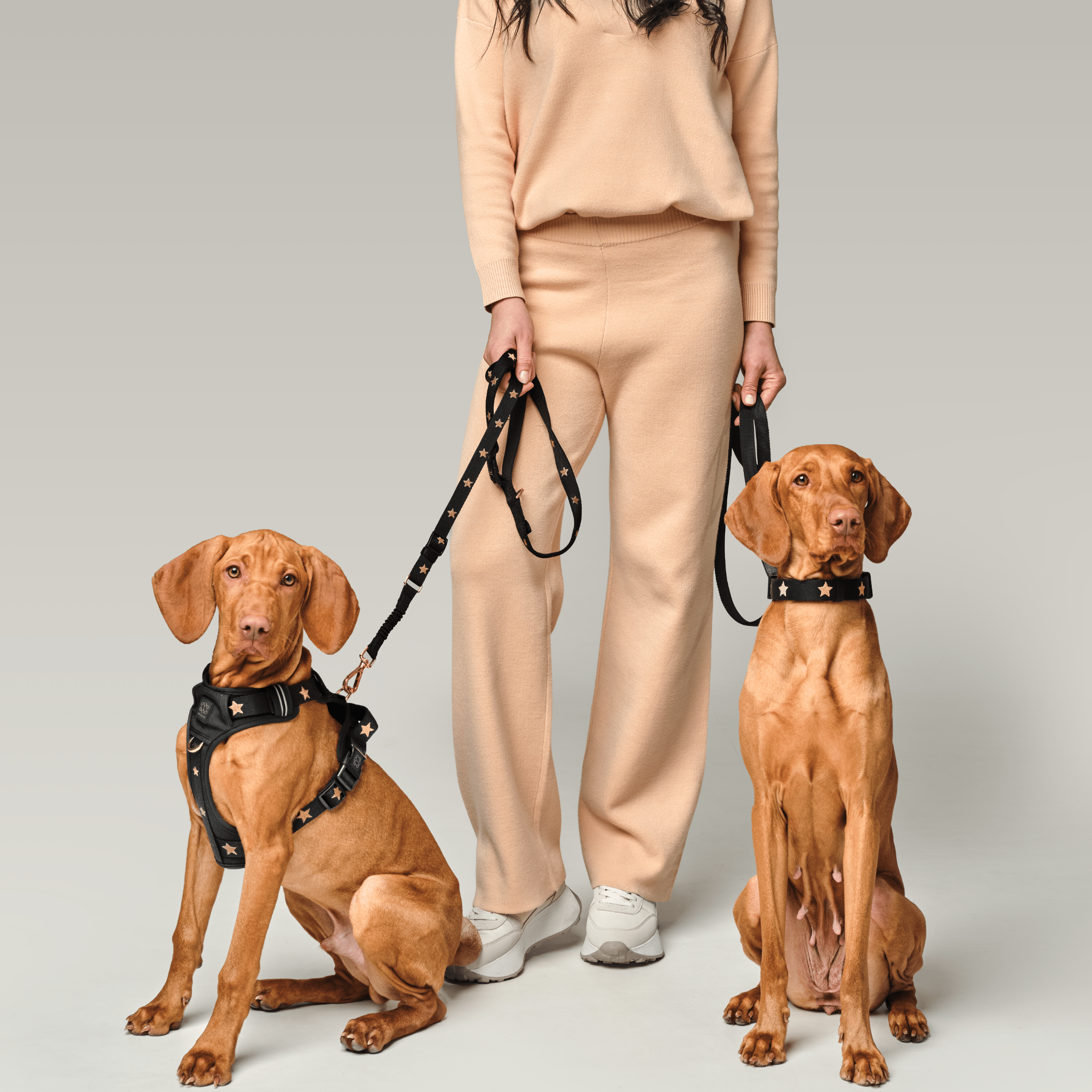 The NoMad Adjustable Luxe Harness - Rockstar - Che Cose Belle