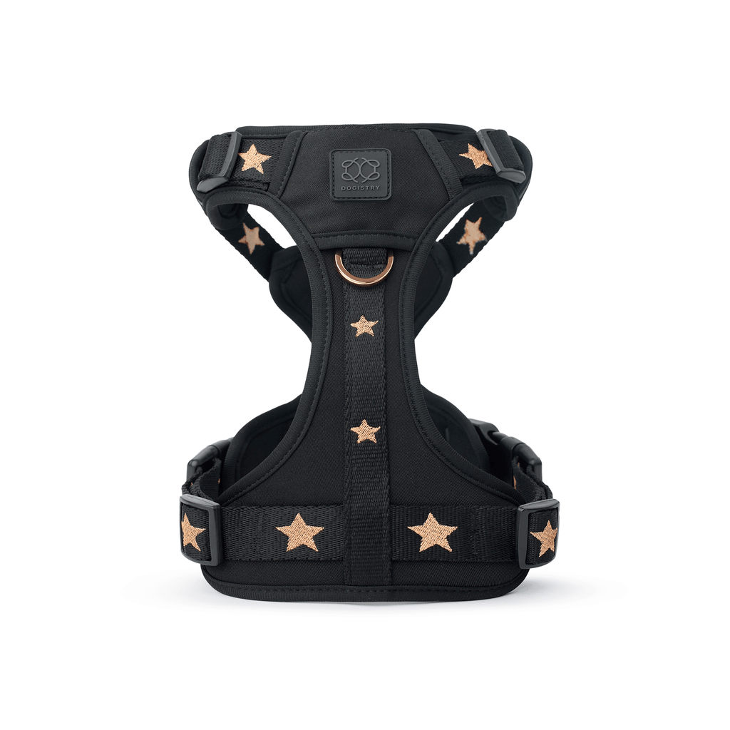 The NoMad Adjustable Luxe Harness - Rockstar - Che Cose Belle