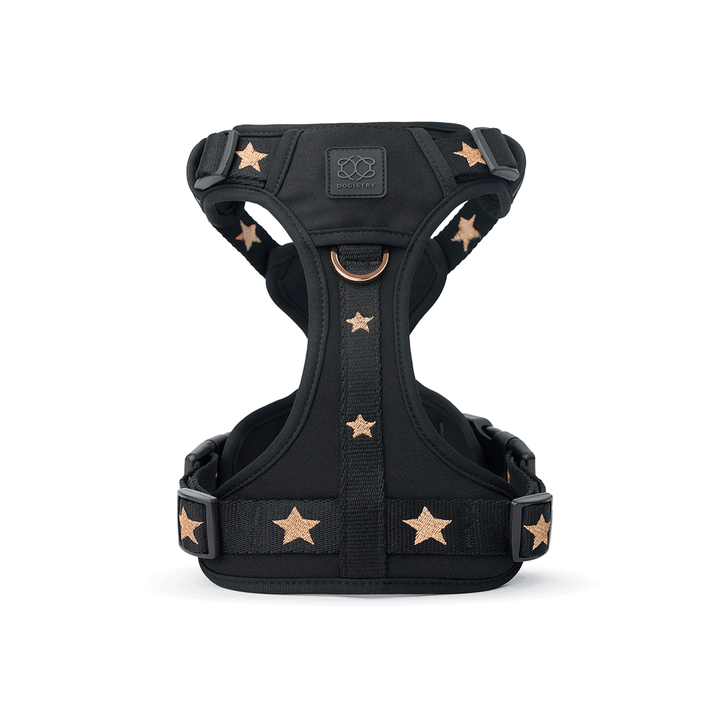 The NoMad Adjustable Luxe Harness - Rockstar - Che Cose Belle