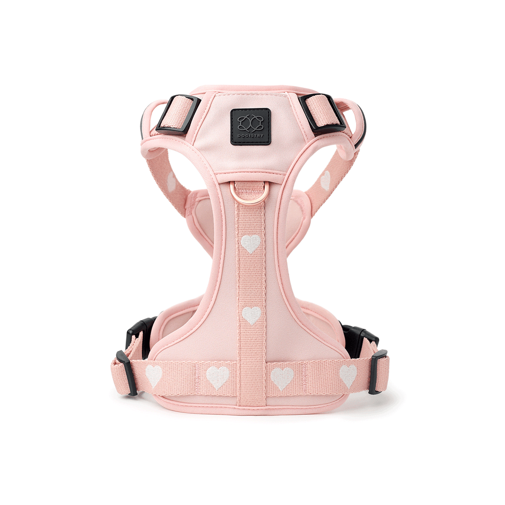 The NoMad Adjustable Luxe Harness - Sweetheart - Che Cose Belle