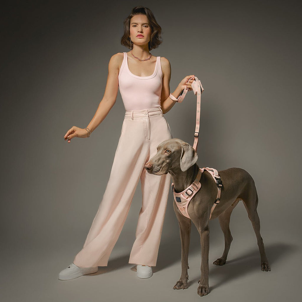 The NoMad Adjustable Luxe Harness - Sweetheart - Che Cose Belle