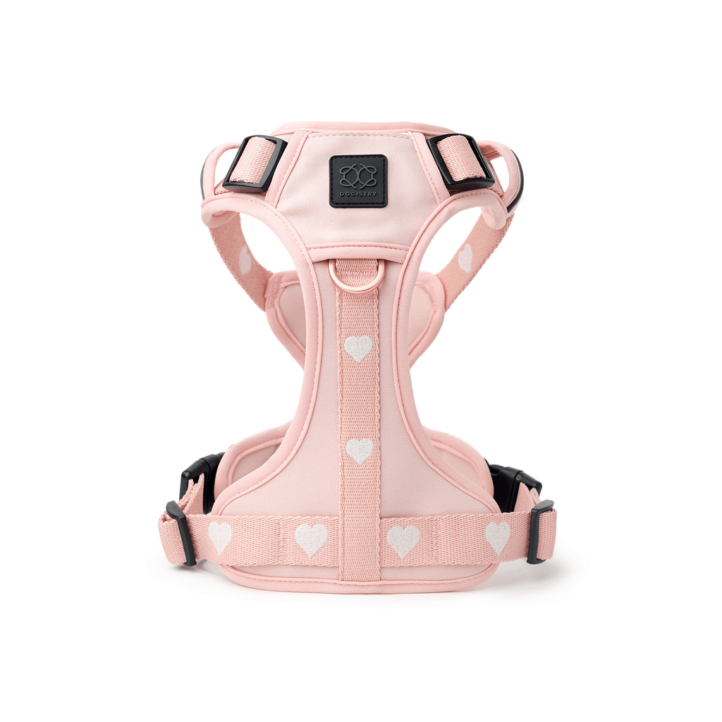 The NoMad Adjustable Luxe Harness - Sweetheart - Che Cose Belle