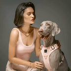 The NoMad Adjustable Luxe Harness - Sweetheart - Che Cose Belle