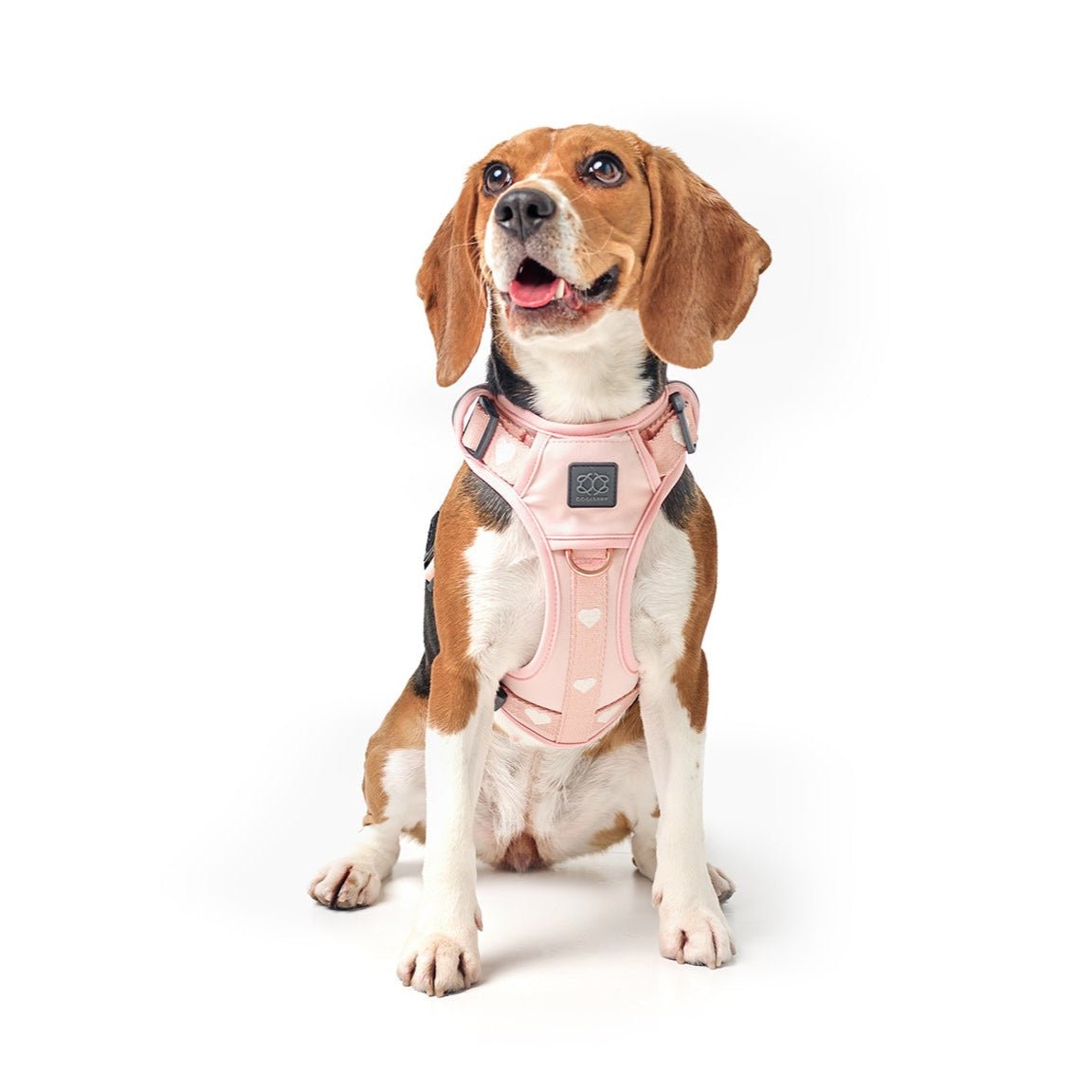 The NoMad Adjustable Luxe Harness - Sweetheart - Che Cose Belle