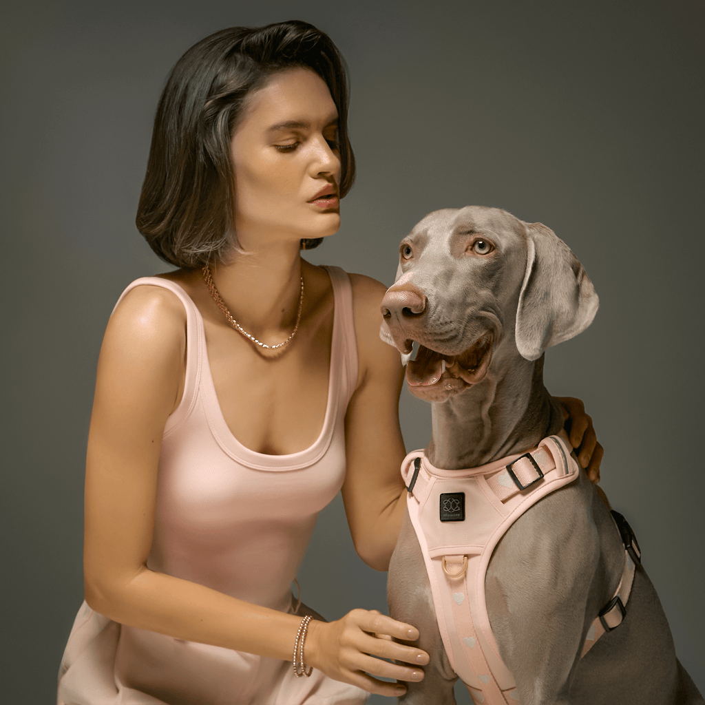 The NoMad Adjustable Luxe Harness - Sweetheart - Che Cose Belle