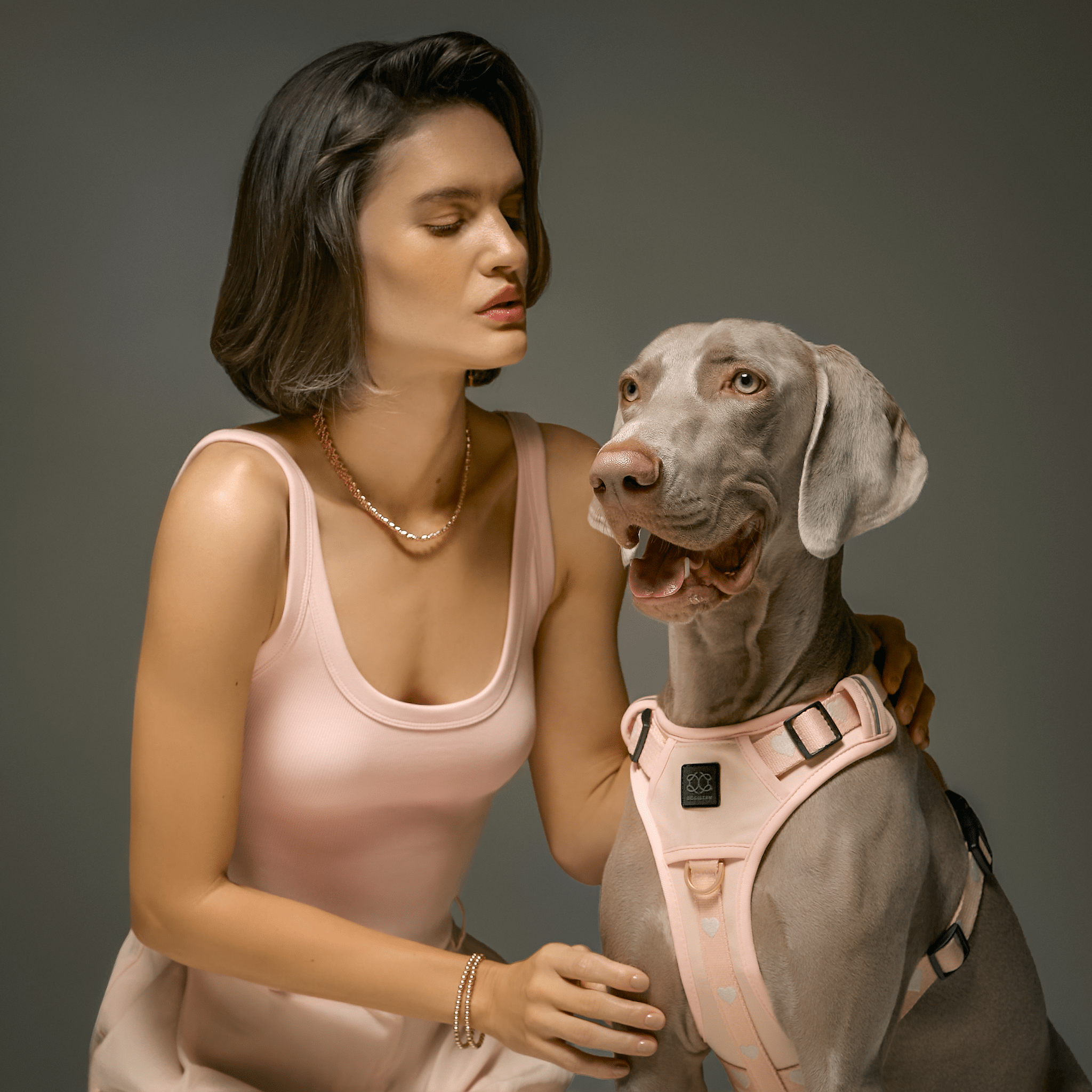 The NoMad Adjustable Luxe Harness - Sweetheart - Che Cose Belle