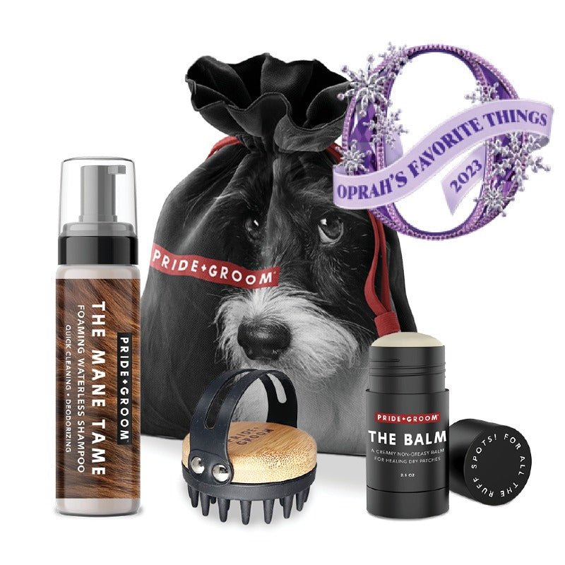 THE TOOL KIT | Complete waterless dog grooming set. Includes foaming shampoo, moisturizing balm & grooming brush. - Che Cose Belle
