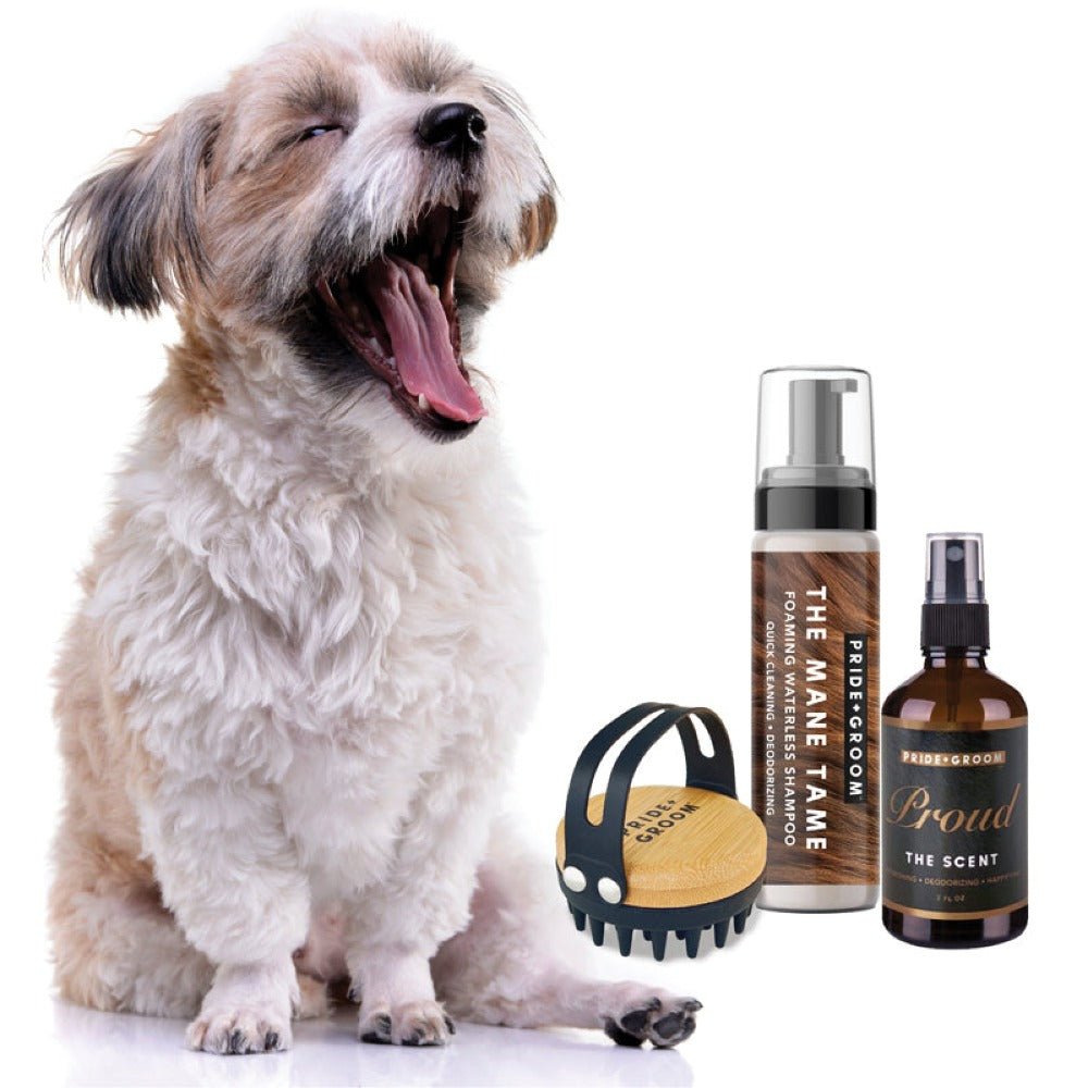 THE TOOL KIT | Complete waterless dog grooming set. Includes foaming shampoo, moisturizing balm & grooming brush. - Che Cose Belle