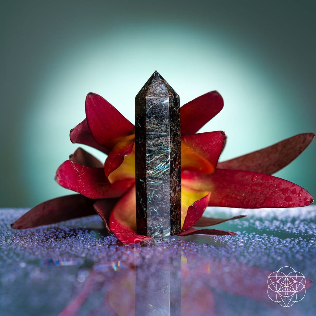 This Is Your Breakthrough – Rare Arfvedsonite Point - Che Cose Belle
