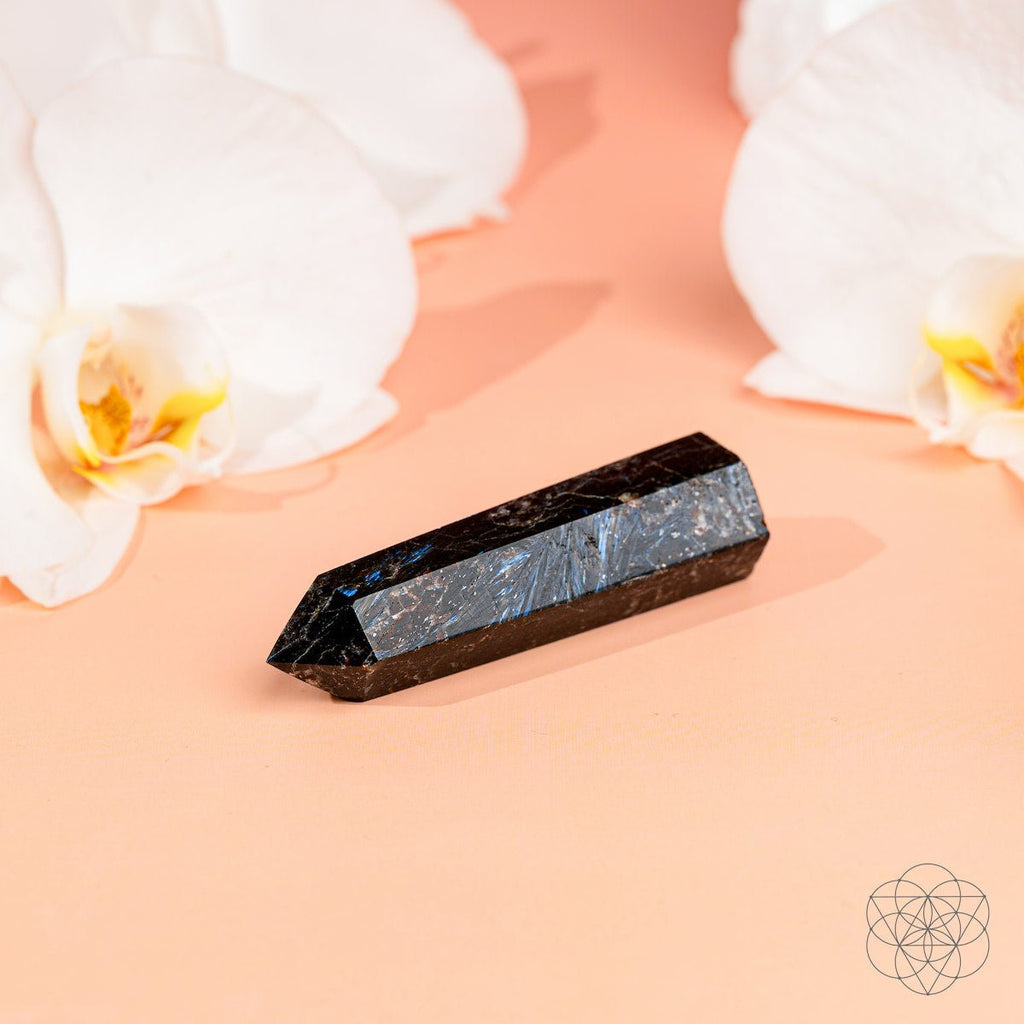 This Is Your Breakthrough – Rare Arfvedsonite Point - Che Cose Belle