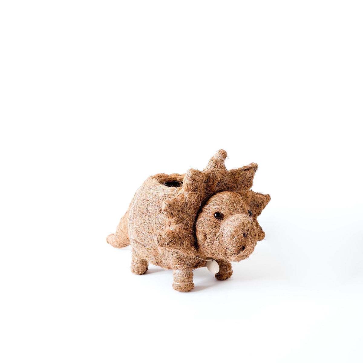 Triceratops Planter - Che Cose Belle