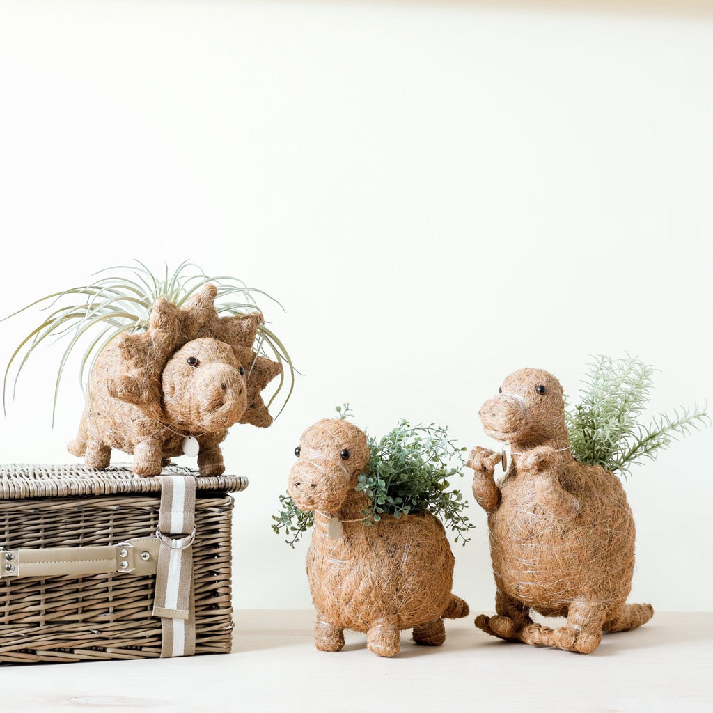 Triceratops Planter - Che Cose Belle