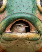 Trout Gord-O Wooden Birdhouse - Che Cose Belle