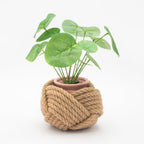 Unbound Planter Jute - Che Cose Belle
