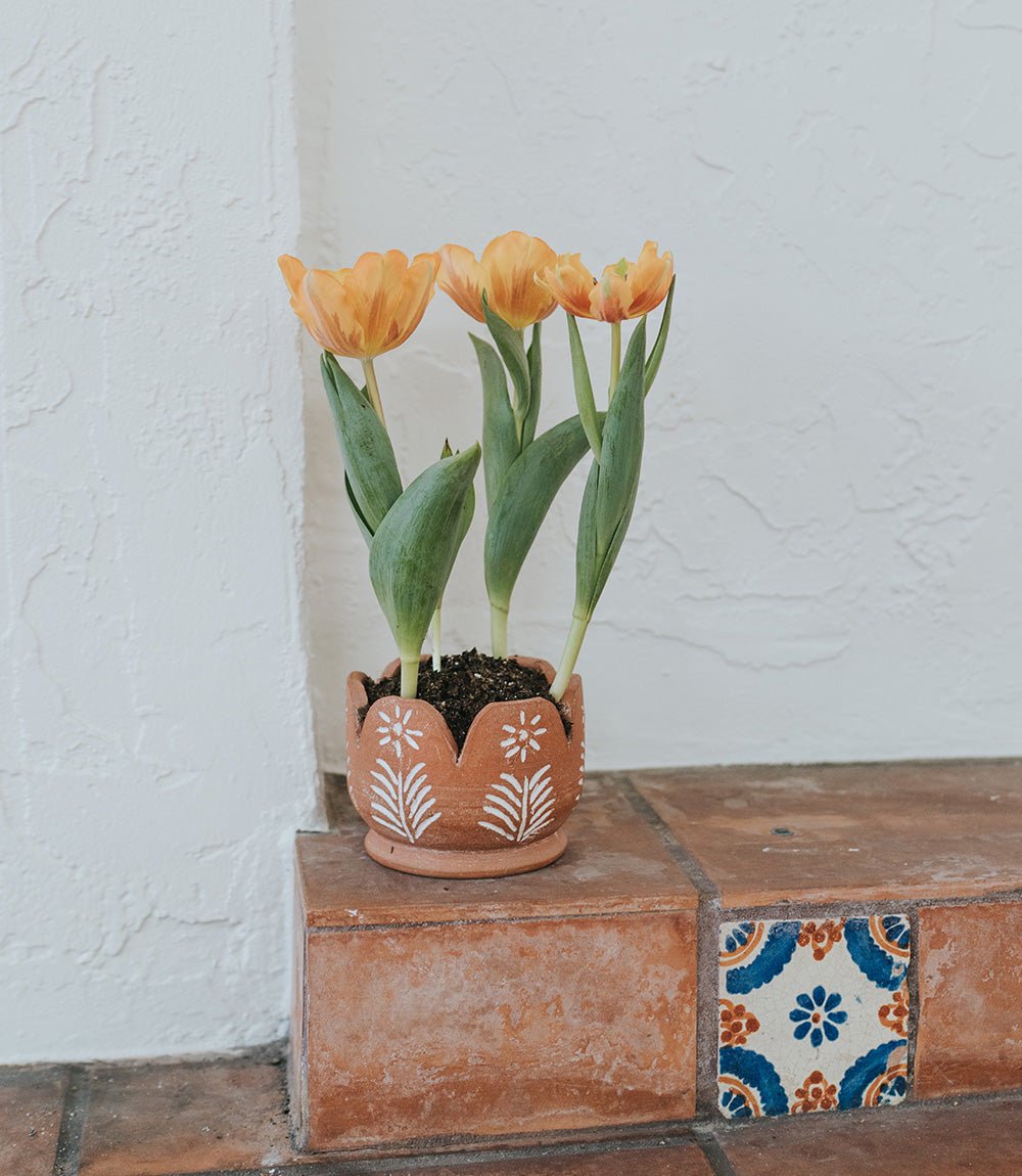 Vasanta Petals Planter - Terracotta - Che Cose Belle