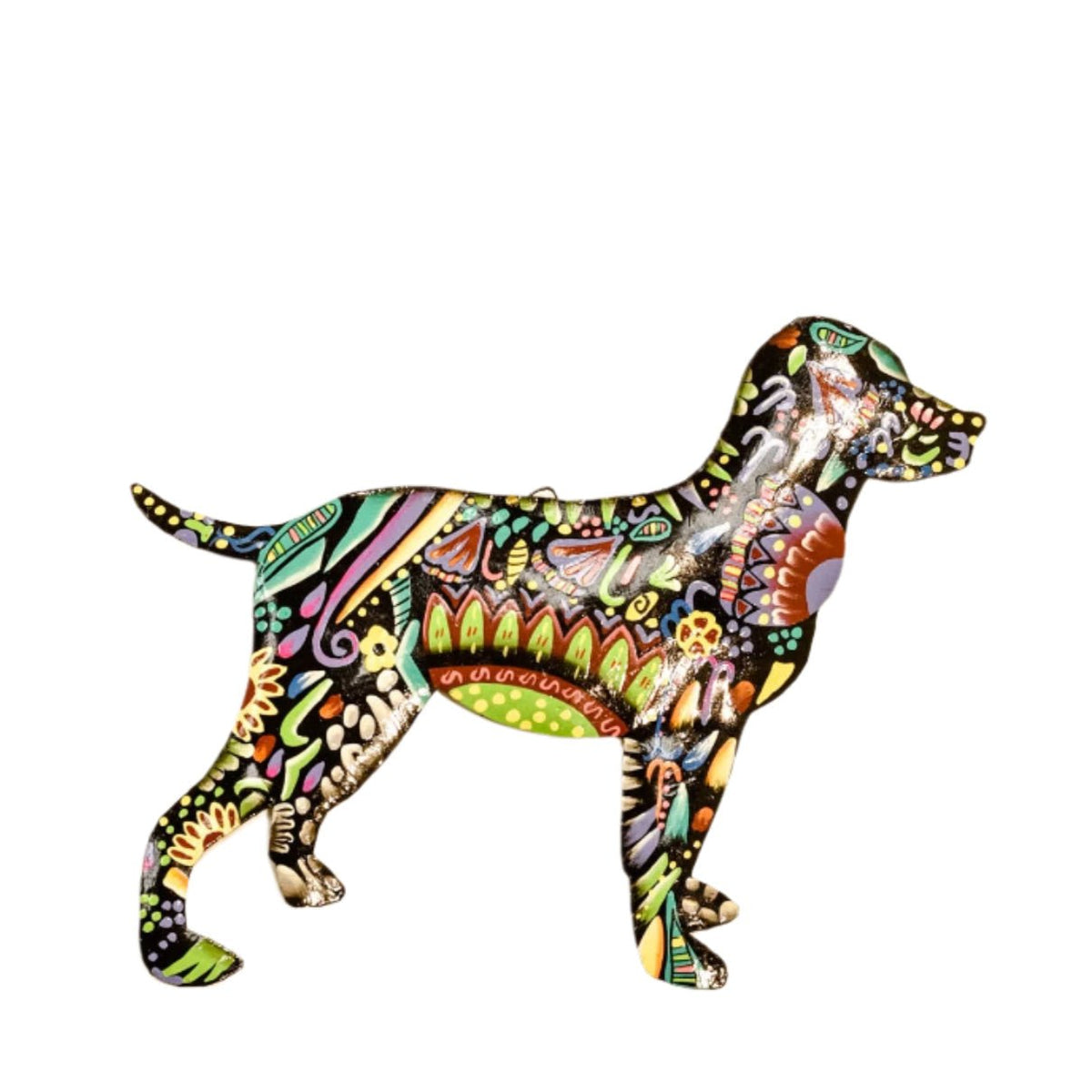 Vivid Dog - Che Cose Belle
