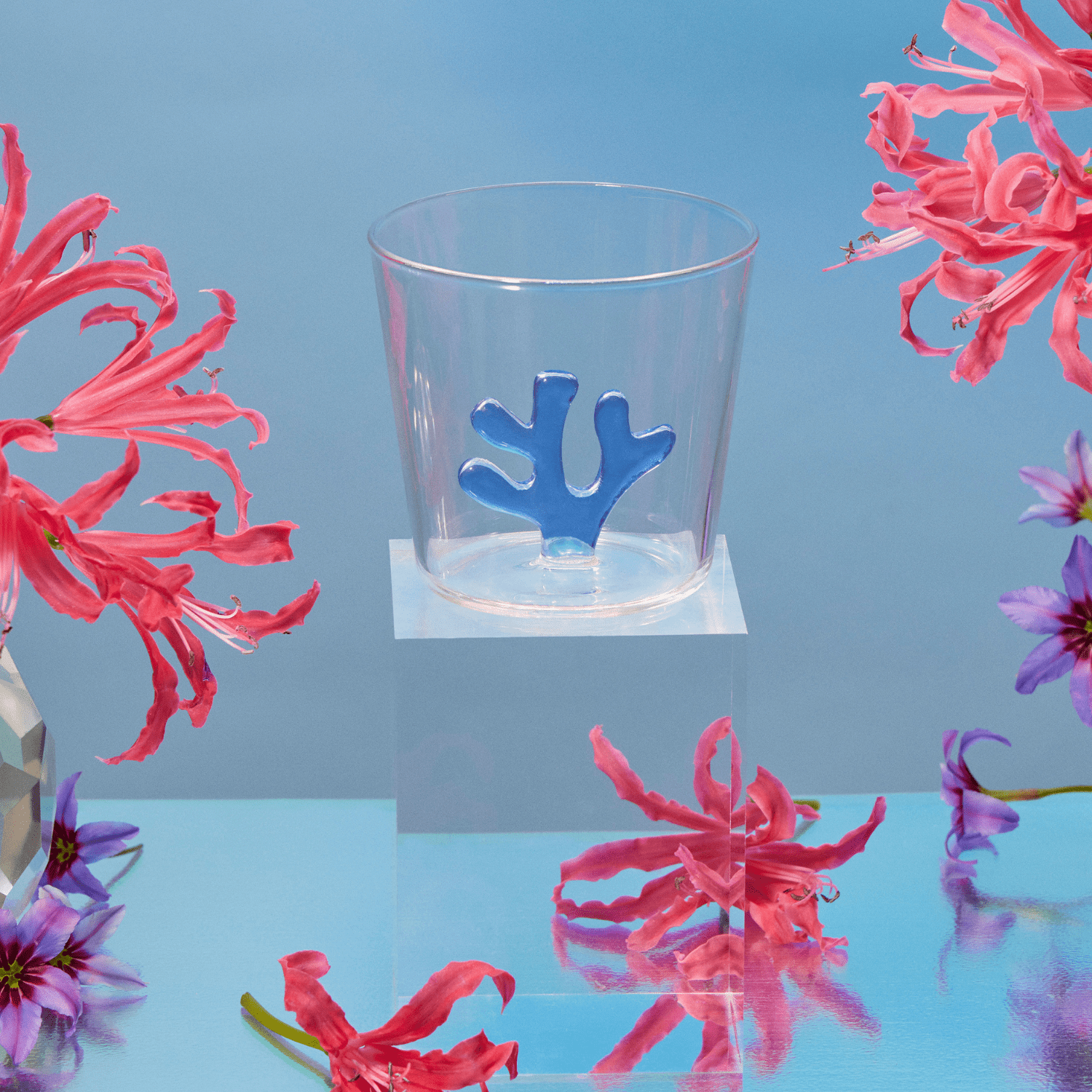 Water Tumblers - Che Cose Belle