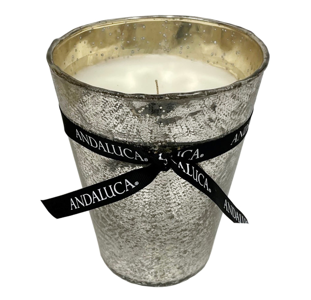 Welcome Home Mercury Candle Pot - Che Cose Belle