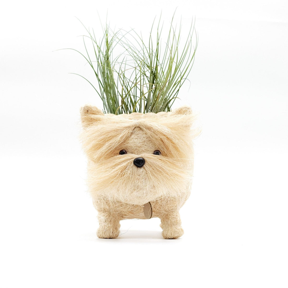 Westie Planter - Che Cose Belle