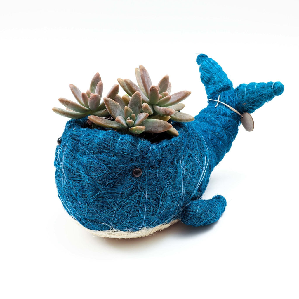 Wicker Whale Planter - Coco Planter - Che Cose Belle