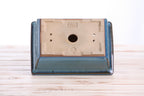 Willow Bonsai Ceramics Rectangle Bonsai Pot 8 Inch – Lower‑Profile Rectangular Ceramic Bonsai & Succulent Planter with Accentuated Rim, High‑Fired Frost‑Proof Stoneware, Handmade in USA (Peacock) - Che Cose Belle