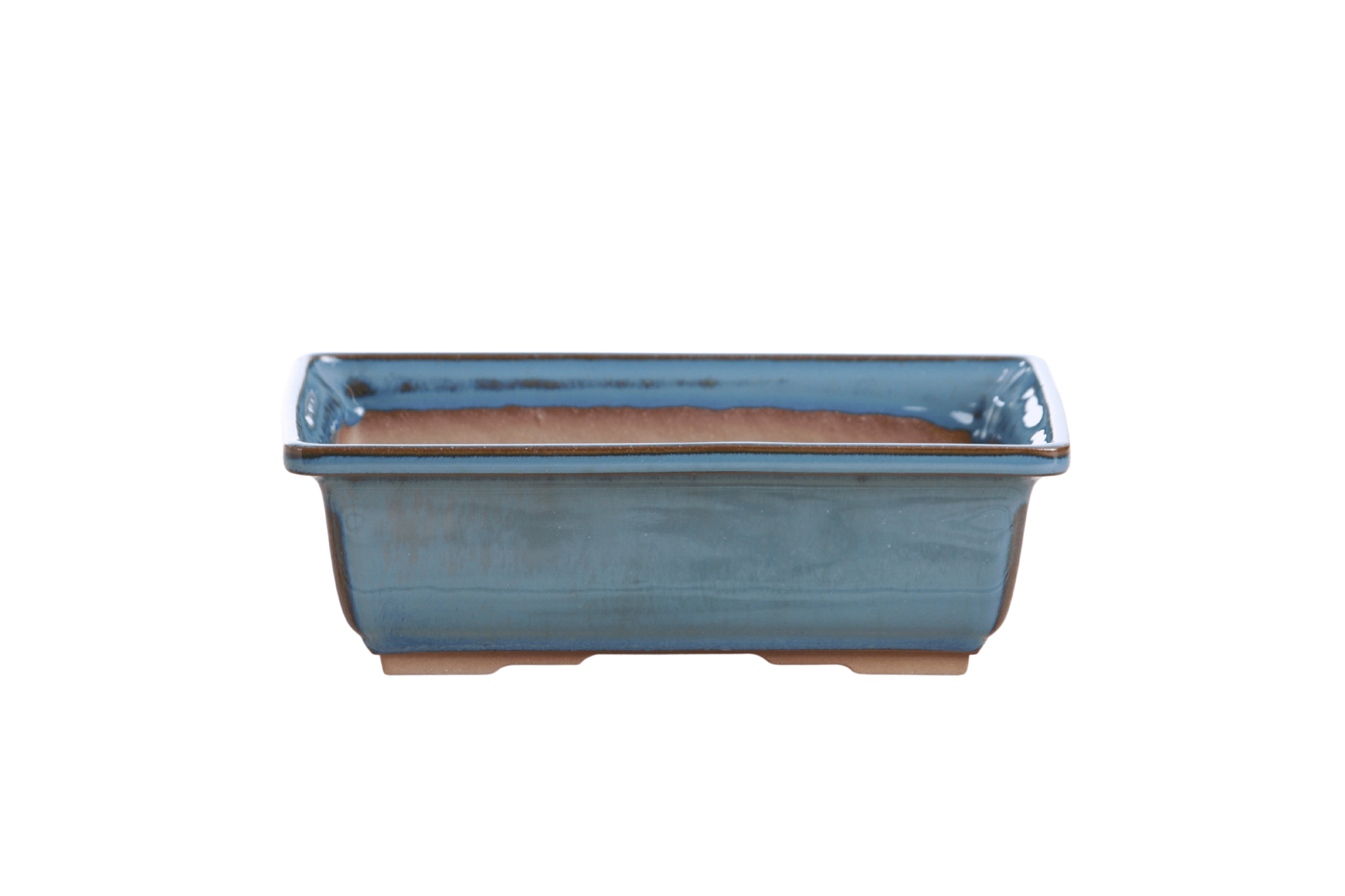 Willow Bonsai Ceramics Rectangle Bonsai Pot 8 Inch – Lower‑Profile Rectangular Ceramic Bonsai & Succulent Planter with Accentuated Rim, High‑Fired Frost‑Proof Stoneware, Handmade in USA (Peacock) - Che Cose Belle