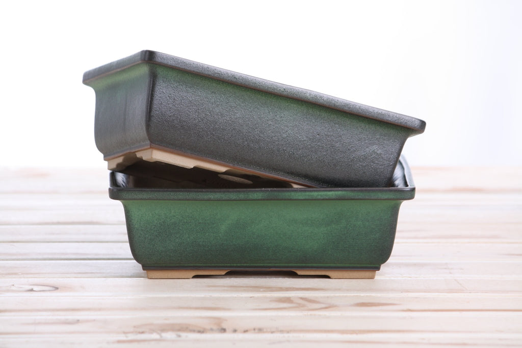 Willow Bonsai Ceramics Rectangle Bonsai Pot 8 Inch – Lower‑Profile Rectangular Ceramic Bonsai & Succulent Planter with Accentuated Rim, High‑Fired Frost‑Proof Stoneware, Handmade in USA (Avocado) - Che Cose Belle