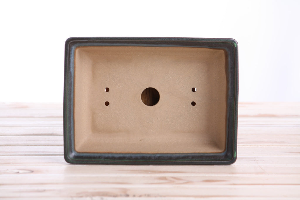 Willow Bonsai Ceramics Rectangle Bonsai Pot 8 Inch – Lower‑Profile Rectangular Ceramic Bonsai & Succulent Planter with Accentuated Rim, High‑Fired Frost‑Proof Stoneware, Handmade in USA (Avocado) - Che Cose Belle