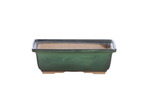 Willow Bonsai Ceramics Rectangle Bonsai Pot 8 Inch – Lower‑Profile Rectangular Ceramic Bonsai & Succulent Planter with Accentuated Rim, High‑Fired Frost‑Proof Stoneware, Handmade in USA (Avocado) - Che Cose Belle