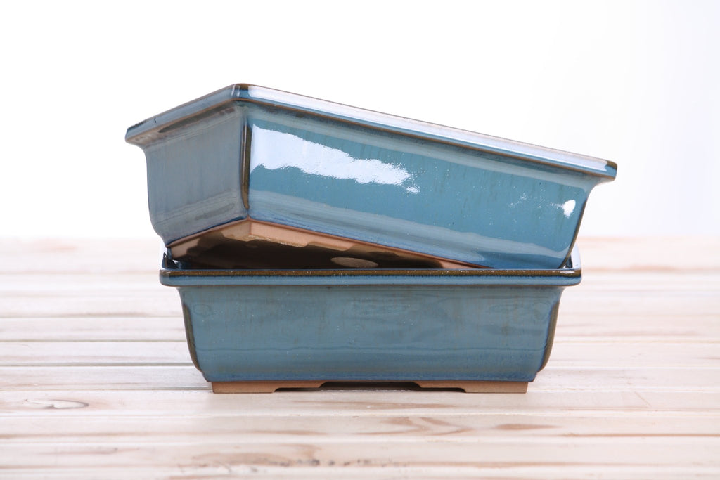 Willow Bonsai Ceramics Rectangle Bonsai Pot 8 Inch – Lower‑Profile Rectangular Ceramic Bonsai & Succulent Planter with Accentuated Rim, High‑Fired Frost‑Proof Stoneware, Handmade in USA (Peacock) - Che Cose Belle