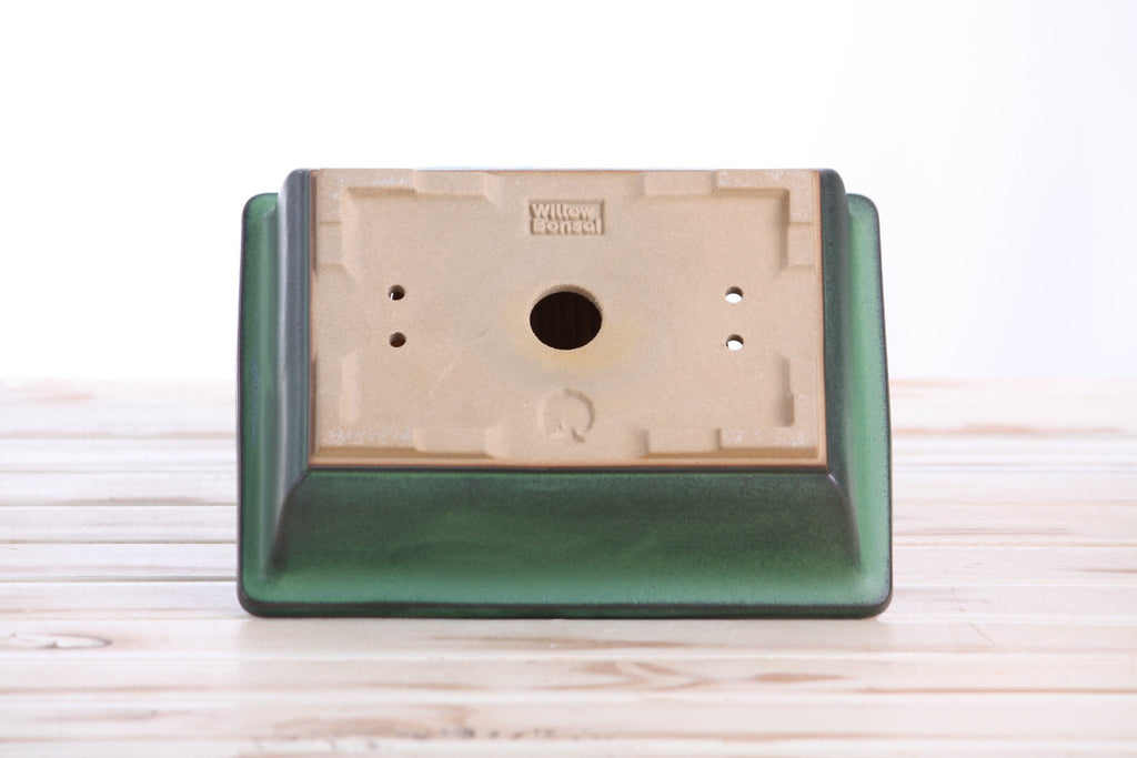 Willow Bonsai Ceramics Rectangle Bonsai Pot 8 Inch – Lower‑Profile Rectangular Ceramic Bonsai & Succulent Planter with Accentuated Rim, High‑Fired Frost‑Proof Stoneware, Handmade in USA (Avocado) - Che Cose Belle