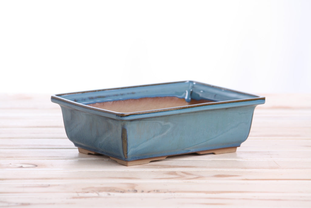 Willow Bonsai Ceramics Rectangle Bonsai Pot 8 Inch – Lower‑Profile Rectangular Ceramic Bonsai & Succulent Planter with Accentuated Rim, High‑Fired Frost‑Proof Stoneware, Handmade in USA (Peacock) - Che Cose Belle