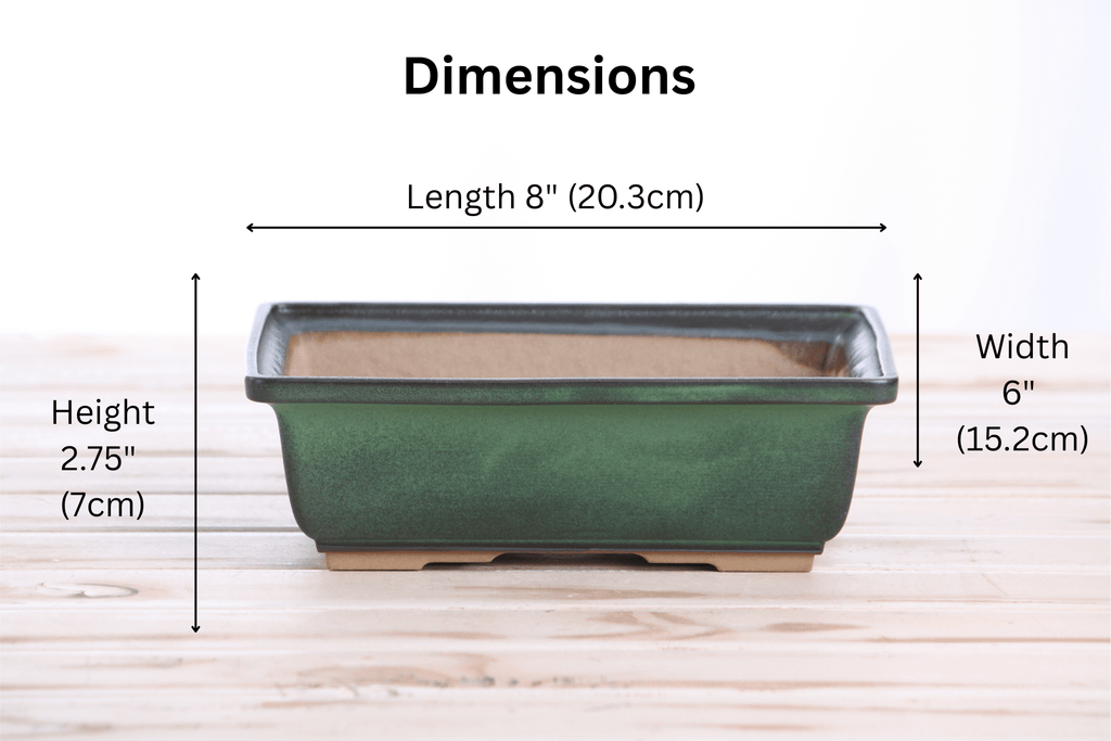 Willow Bonsai Ceramics Rectangle Bonsai Pot 8 Inch – Lower‑Profile Rectangular Ceramic Bonsai & Succulent Planter with Accentuated Rim, High‑Fired Frost‑Proof Stoneware, Handmade in USA (Avocado) - Che Cose Belle