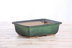 Willow Bonsai Ceramics Rectangle Bonsai Pot 8 Inch – Lower‑Profile Rectangular Ceramic Bonsai & Succulent Planter with Accentuated Rim, High‑Fired Frost‑Proof Stoneware, Handmade in USA (Avocado) - Che Cose Belle