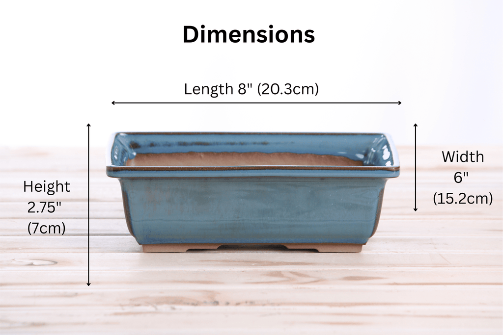 Willow Bonsai Ceramics Rectangle Bonsai Pot 8 Inch – Lower‑Profile Rectangular Ceramic Bonsai & Succulent Planter with Accentuated Rim, High‑Fired Frost‑Proof Stoneware, Handmade in USA (Peacock) - Che Cose Belle