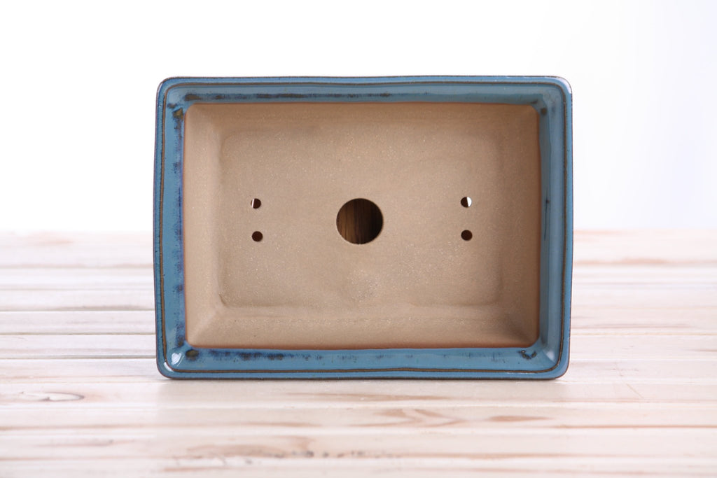 Willow Bonsai Ceramics Rectangle Bonsai Pot 8 Inch – Lower‑Profile Rectangular Ceramic Bonsai & Succulent Planter with Accentuated Rim, High‑Fired Frost‑Proof Stoneware, Handmade in USA (Peacock) - Che Cose Belle