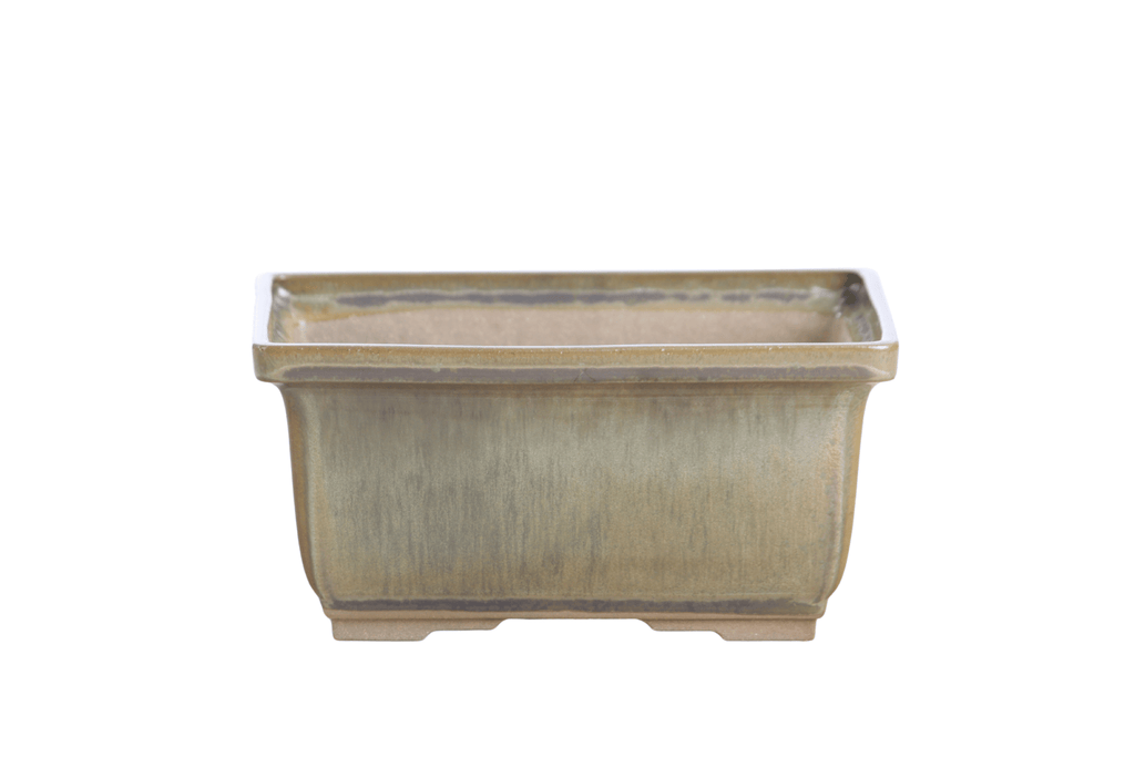 Willow Bonsai Ceramics Rectangle Deep Bonsai Pot 6 Inch – Higher‑Profile Rectangular Ceramic Bonsai & Succulent Planter with Accentuated Rim, High‑Fired Frost‑Proof Stoneware, Handmade in USA (Copenhagen) - Che Cose Belle