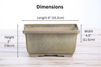 Willow Bonsai Ceramics Rectangle Deep Bonsai Pot 6 Inch – Higher‑Profile Rectangular Ceramic Bonsai & Succulent Planter with Accentuated Rim, High‑Fired Frost‑Proof Stoneware, Handmade in USA (Copenhagen) - Che Cose Belle