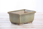 Willow Bonsai Ceramics Rectangle Deep Bonsai Pot 6 Inch – Higher‑Profile Rectangular Ceramic Bonsai & Succulent Planter with Accentuated Rim, High‑Fired Frost‑Proof Stoneware, Handmade in USA (Copenhagen) - Che Cose Belle
