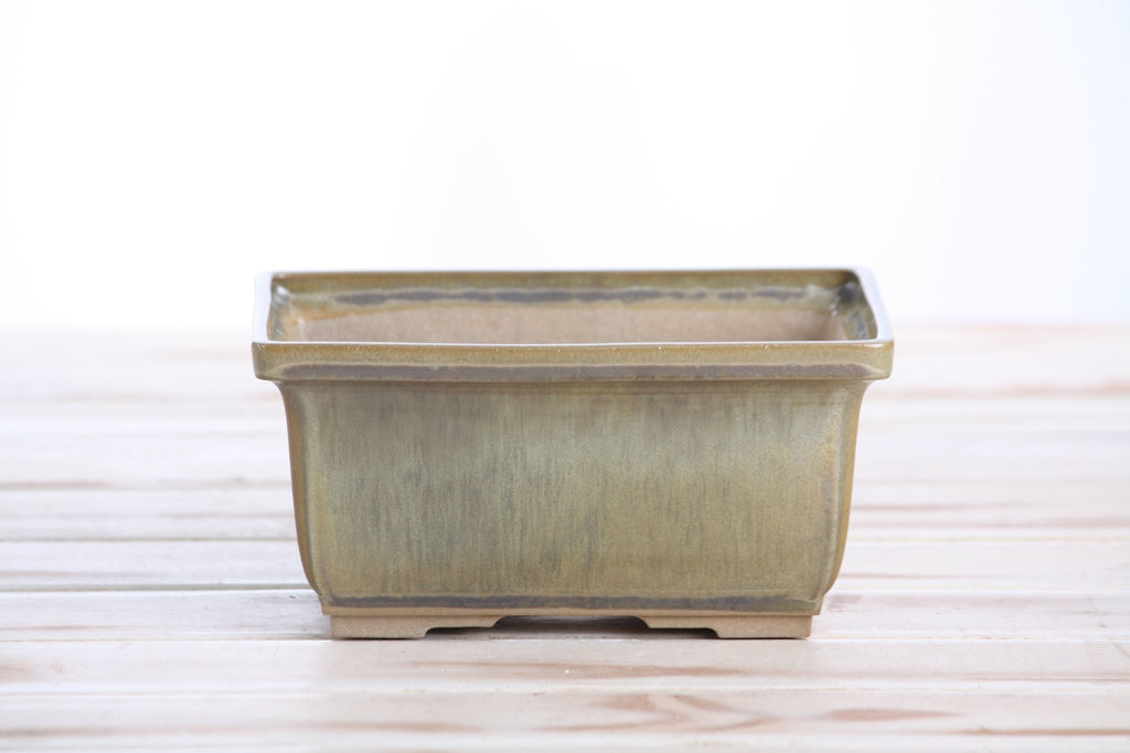 Willow Bonsai Ceramics Rectangle Deep Bonsai Pot 6 Inch – Higher‑Profile Rectangular Ceramic Bonsai & Succulent Planter with Accentuated Rim, High‑Fired Frost‑Proof Stoneware, Handmade in USA (Copenhagen) - Che Cose Belle